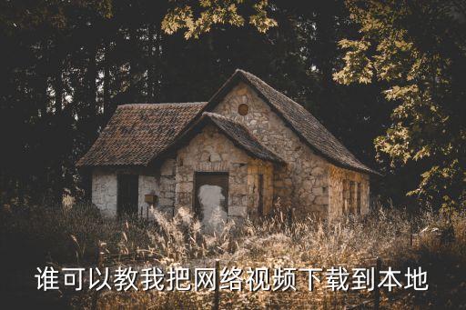 谁可以教我把网络视频下载到本地