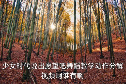 少女时代说出愿望吧舞蹈教学动作分解视频啊谁有啊