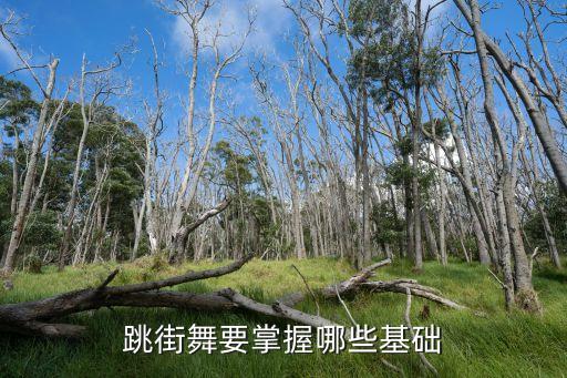 跳街舞要掌握哪些基础