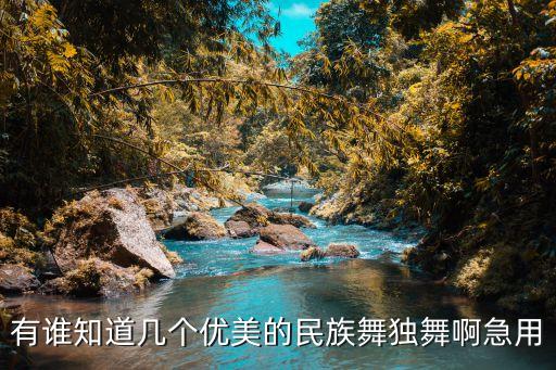 有谁知道几个优美的民族舞独舞啊急用