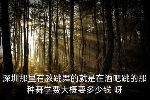 深圳那里有教跳舞的就是在酒吧跳的那种舞学费大概要多少钱 呀