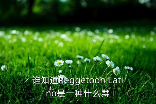 谁知道Reggetoon Latino是一种什么舞