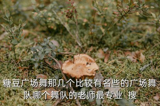 糖豆广场舞那几个比较有名些的广场舞队哪个舞队的老师最专业  搜