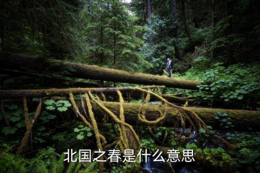 北国之春是什么舞步，北国之春是几乐段