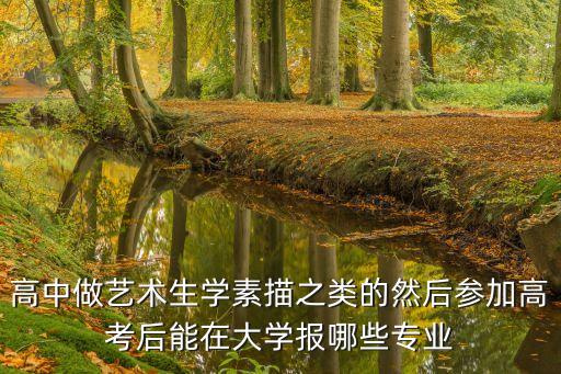 素描艺术生报考什么专业，美术素描好的什么专业比较适合这类的考生
