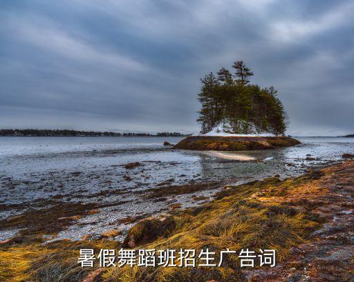 暑假舞蹈班招生广告词