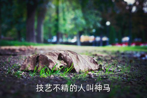 技艺不精的人叫神马