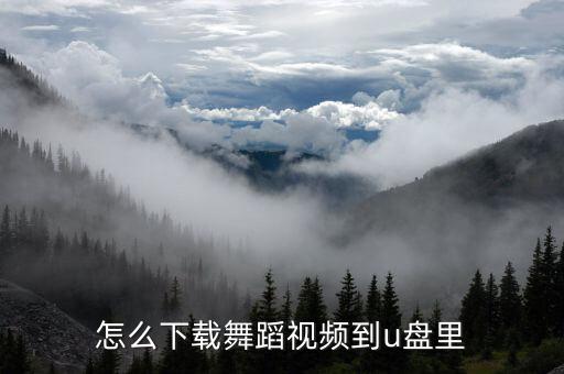 怎么下载舞蹈视频到u盘里