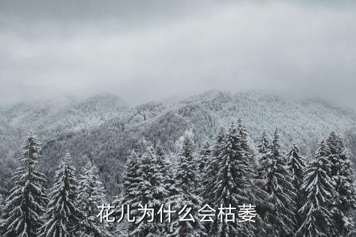 花儿为什么会枯萎