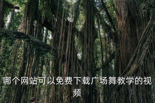 哪个网站可以免费下载广场舞教学的视频