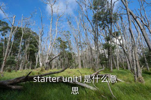 中国体育舞蹈联合会1是什么意思，starter unit1是什么意思