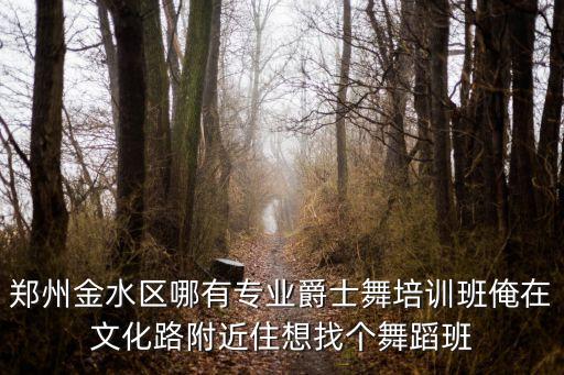 郑州金水区哪有专业爵士舞培训班俺在文化路附近住想找个舞蹈班