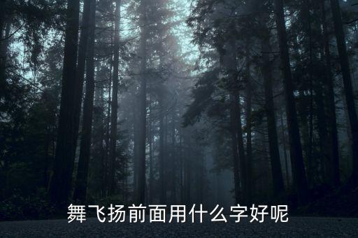 舞飞扬前面用什么字好呢