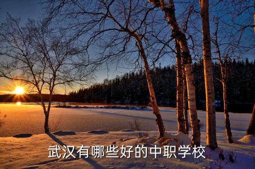 武汉有哪些好的中职学校