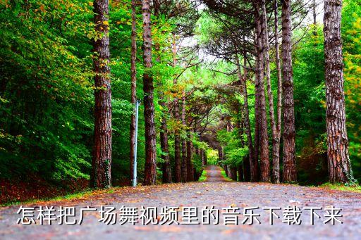 怎么将舞蹈视频的音乐下载下来，怎样把广场舞视频里的音乐下载下来