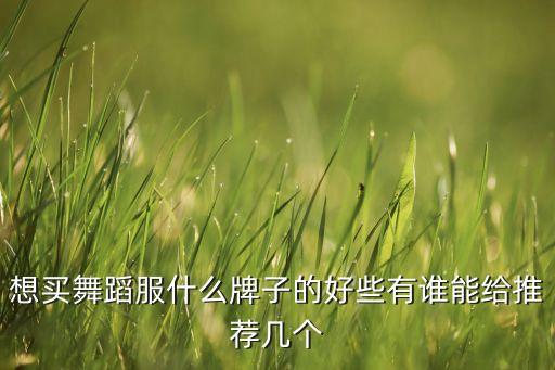 想买舞蹈服什么牌子的好些有谁能给推荐几个