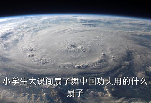 小学生大课间扇子舞中国功夫用的什么扇子