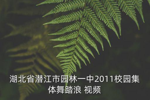 湖北省潜江市园林一中2011校园集体舞踏浪 视频