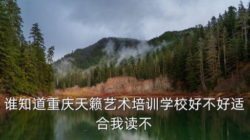 谁知道重庆天籁艺术培训学校好不好适合我读不
