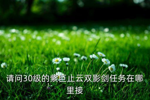 云双在哪里，DNF30紫巨芷云双影剑哪能刷到