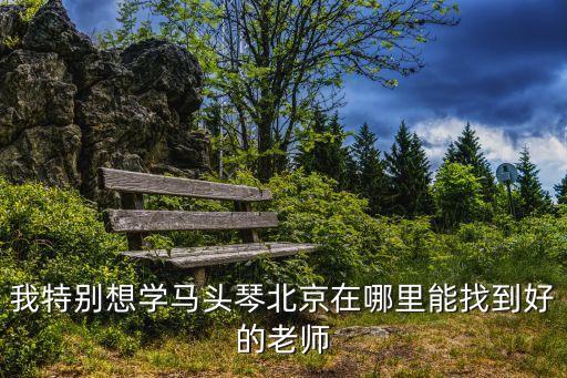 北京哪里可以学拉马头琴，北京哪里可以学 马头琴 最好是学生