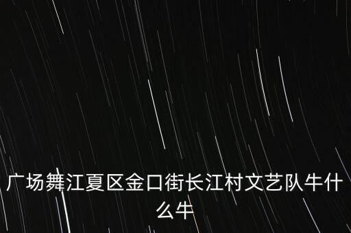 广场舞江夏区金口街长江村文艺队牛什么牛