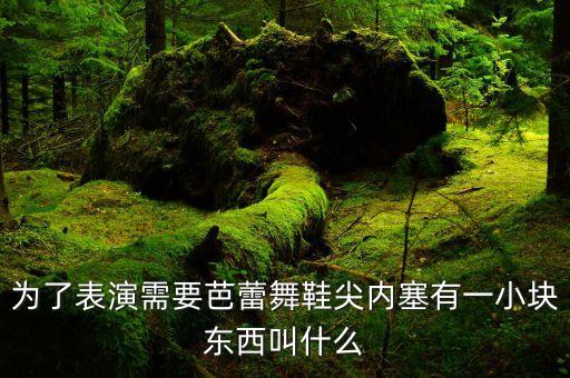 芭蕾舞鞋子里有什么，为了表演的需要芭蕾鞋的鞋尖内塞有一小块什么