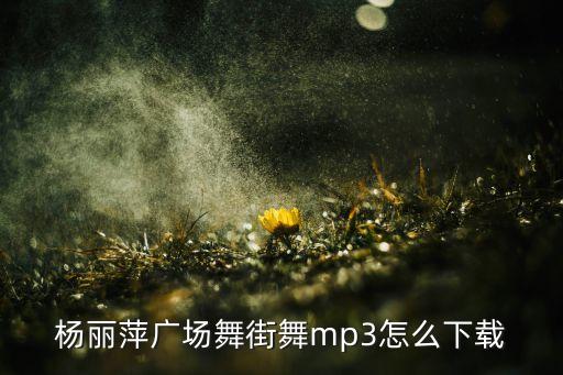 杨丽萍广场舞街舞mp3怎么下载