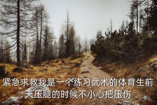紧急求救我是一个练习武术的体育生前天压腿的时候不小心把压伤