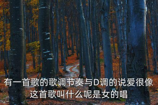 有一首歌的歌调节奏与D调的说爱很像这首歌叫什么呢是女的唱