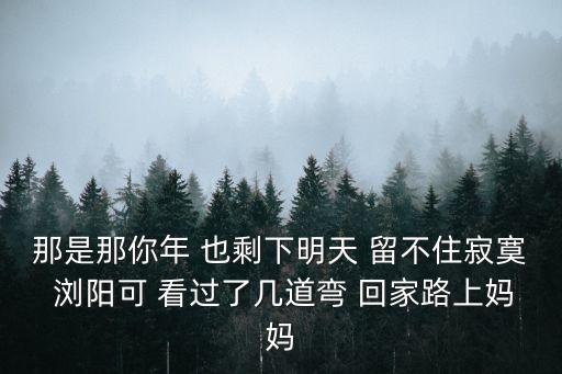 阿妈的目光什么歌曲，那是那你年 也剩下明天 留不住寂寞 浏阳可 看过了几道弯 回家路上妈妈