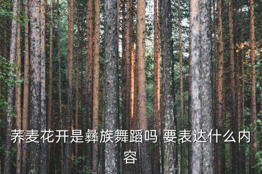 荞麦花开是彝族舞蹈吗 要表达什么内容