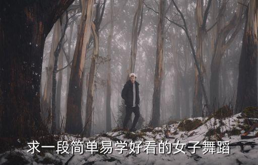 求一段简单易学好看的女子舞蹈