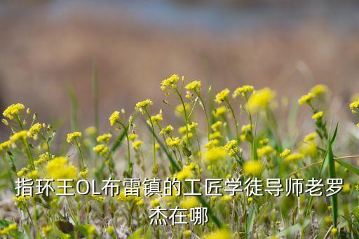 指环王OL布雷镇的工匠学徒导师老罗杰在哪