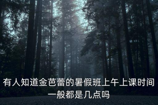 有人知道金芭蕾的暑假班上午上课时间一般都是几点吗