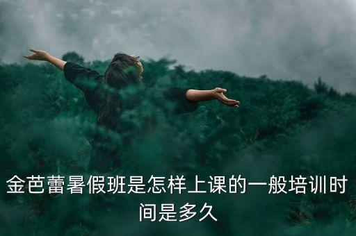 暑假舞蹈班多少节课，金芭蕾暑假班上课要多久