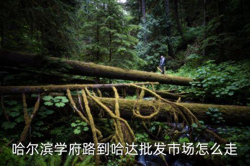 哈尔滨学府路到哈达批发市场怎么走