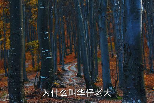 李华和刘德华什么关系，刘德华和谁是四大天王