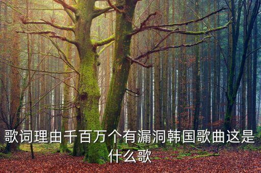 歌词理由千百万个有漏洞韩国歌曲这是什么歌