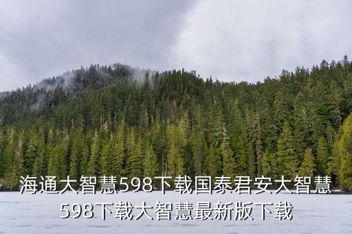 海通大智慧598下载国泰君安大智慧598下载大智慧最新版下载