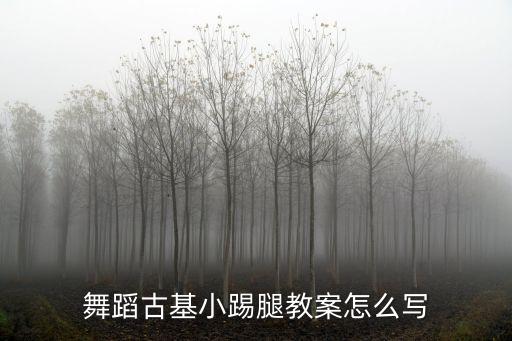 舞蹈古基小踢腿教案怎么写