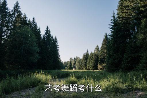 艺考舞蹈考什么