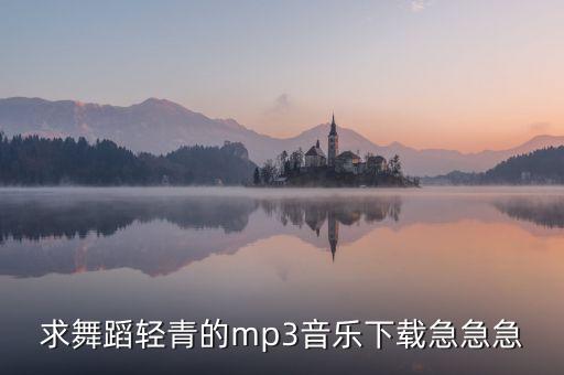 求舞蹈轻青的mp3音乐下载急急急