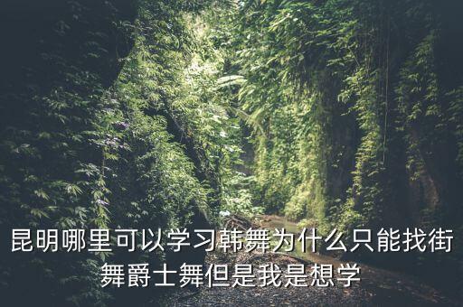 昆明哪里可以学习韩舞为什么只能找街舞爵士舞但是我是想学