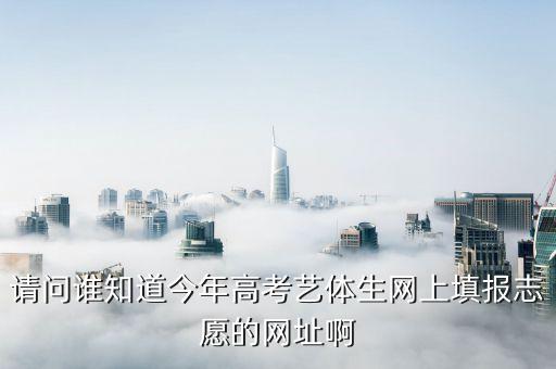 请问谁知道今年高考艺体生网上填报志愿的网址啊