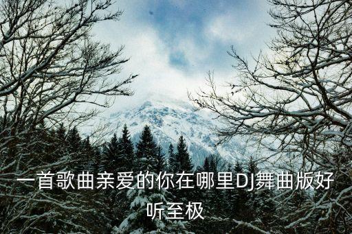王子广场舞京爱的你在哪里，栎鑫的所有歌曲包括比赛时唱的