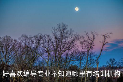 学编导去哪个培训机构，哪家影视编导高考培训好