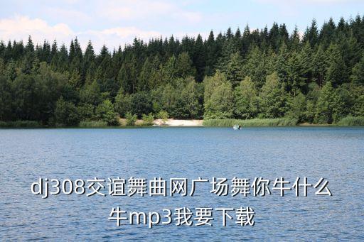 阿真广场舞你牛什么牛，广场舞你牛甚么牛mp3
