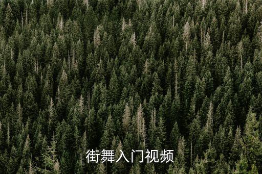 街舞入门视频