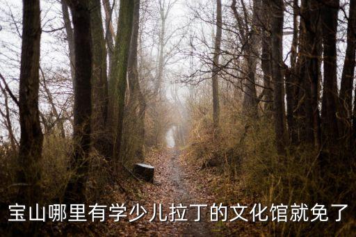 宝山哪里有学少儿拉丁的文化馆就免了